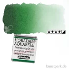 Artikelbild 1 des Artikels “Schmincke HORADAM Aquarellfarben 1/2 Napf | 534 Permanentgrün oliv“