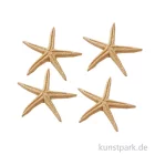 Artikelbild 1 des Artikels “Mini Seestern mit Glitzer, 6,5 cm, 4 Stück “