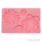 Artikelbild 1 des Artikels “Silikon-Gießform - Sukkulenten, 13,6 x 8,8 x 2 cm “
