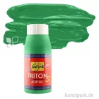 Artikelbild 1 des Artikels “Solo Goya TRITON S - Acrylfarbe mit Glanzeffekt, 750 ml Flasche | Permanentgrün“