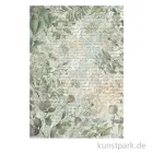 Artikelbild 1 des Artikels “Stamperia Reispapier - Herbarium Silvae Leaves Background, DIN A4 “
