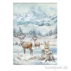 Artikelbild 1 des Artikels “Stamperia Reispapier - The Owl's House Wildlife, DIN A4 “