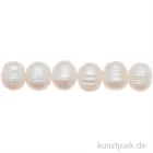 Artikelbild 1 des Artikels “Süßwasserperlen Natur, 11-12 mm, 10 Stück “