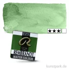 Artikelbild 1 des Artikels “Talens REMBRANDT Aquarellfarben 1/2 Näpfchen | 629 Grüne Erde“