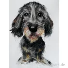 Artikelbild 1 des Artikels “Malkurs - Tiere & Wesen - Dackel - 11.09.26 “
