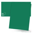 Artikelbild 1 des Artikels “Tonpapier 50x70 cm, 10 Bogen, 130g Farbe | Tannengrün“