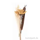 Artikelbild 1 des Artikels “Trockenblumen Set Natur Orange “