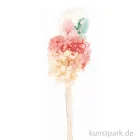 Artikelbild 1 des Artikels “Trockenblumen Set Pastell Türkis “