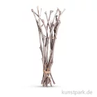 Artikelbild 1 des Artikels “Weinreben 40 cm, 12 Stück “