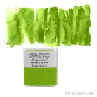 Artikelbild 1 des Artikels “Winsor & Newton Aquarellfarben 1/2 Napf | 503 Permanet Sap Green“