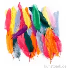 Artikelbild 1 des Artikels “XXL Set - Federn, 12 - 15 cm, 350 sortiert “
