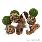 Artikelbild 1 des Artikels “Zapfen-Potpourri braun-grün “