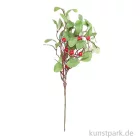 Artikelbild 1 des Artikels “Zweig mit Blättern und roten Beeren, 40 cm “