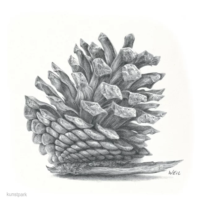 Artikelbild 2 des Artikels “Derwent SKETCHING Zeichenstift einzeln “