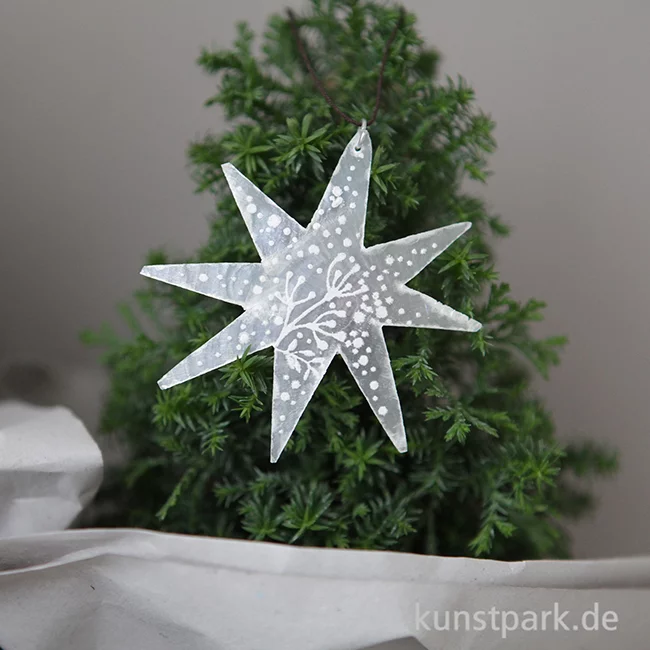 Artikelbild 2 des Artikels “Good old friends - Capizstern, Silber, Schnee, Zweig “