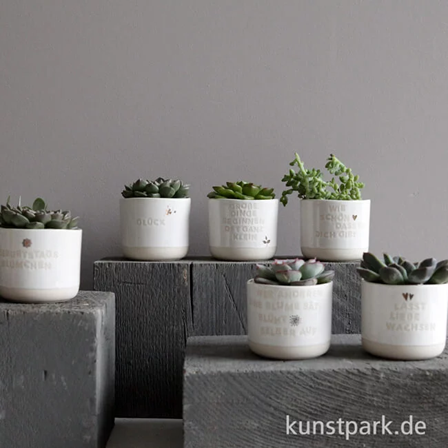 Artikelbild 2 des Artikels “Good old friends - Mini Blumentopf, Wie schön, dass es Dich gibt “