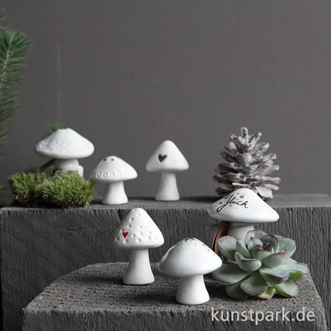 Artikelbild 2 des Artikels “Good old friends - Winter Glückspilz, Goldstern “