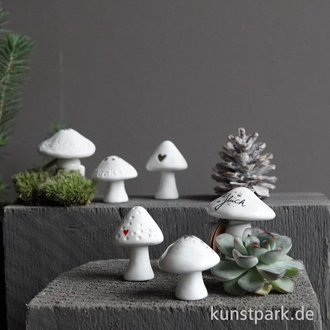 Artikelbild 2 des Artikels “Good old friends - Winter Glückspilz, Silbersterne “