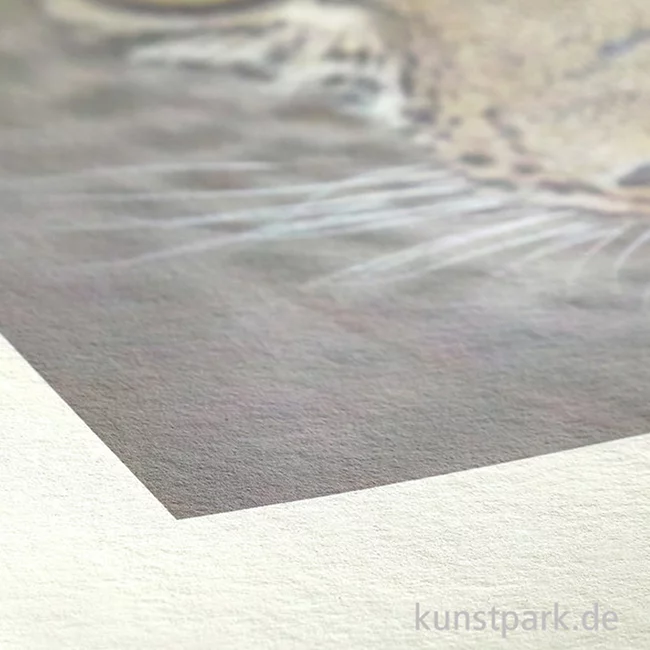 Artikelbild 2 des Artikels “Hahnemühle BAMBOO FineArt Papier, 290g/m², 12m Rolle “