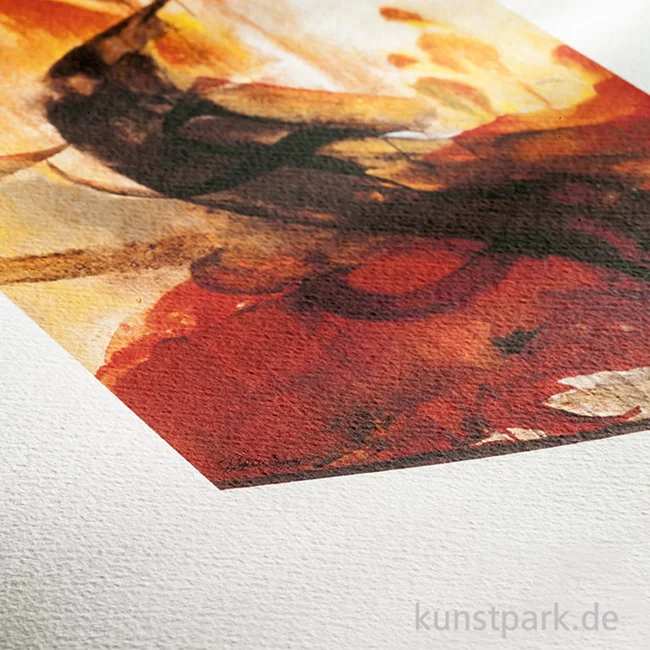 Artikelbild 2 des Artikels “Hahnemühle Albrecht Dürer, 210 g/m², 12m Rolle “