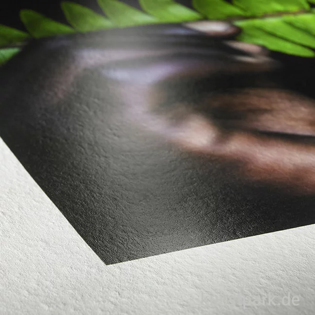 Artikelbild 2 des Artikels “Hahnemühle Photo Rag Pearl, 320 g/m², 12m Rolle “