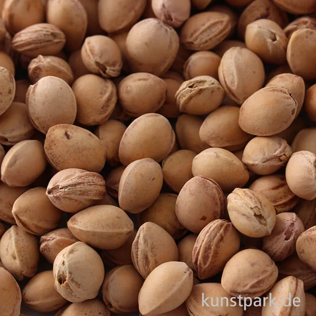 Artikelbild 2 des Artikels “Kirschkerne - gewaschen, 500 g “