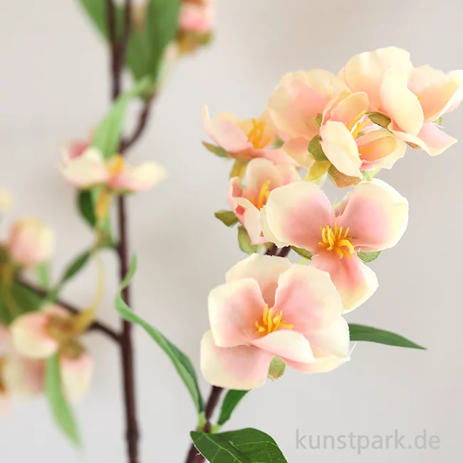 Artikelbild 2 des Artikels “Kirschblütenzweig Rosa, 74 cm “