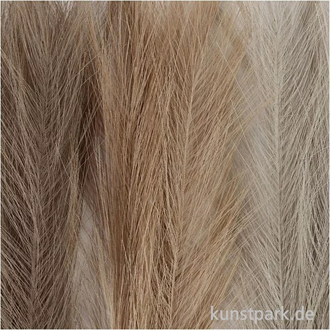 Artikelbild 2 des Artikels “Künstliches Pampasgras, Hellbeige, Hellbraun, Hellgrau, Länge 50 cm “