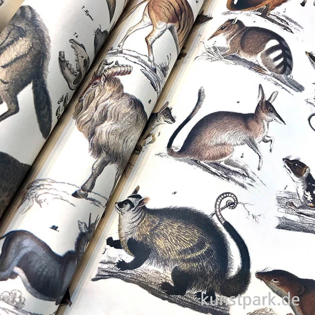 Artikelbild 2 des Artikels “PEPIN Kreativpapier Buch - Fauna “