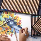 Artikelbild 2 des Artikels “Caran d'Ache - Luminance 6901 Farbstift “