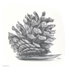 Artikelbild 2 des Artikels “Derwent SKETCHING Zeichenstift einzeln “