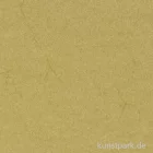 Artikelbild 2 des Artikels “Elefantenhaut, 100 Blatt chamois, DIN A4 “