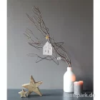 Artikelbild 2 des Artikels “Good old friends - Große Schmucksterne, Haus “