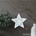 Artikelbild 2 des Artikels “Good old friends - Große Schmucksterne, Herz “