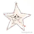 Artikelbild 2 des Artikels “Good old friends - Große Schmucksterne, Wintervögel “