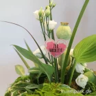 Artikelbild 2 des Artikels “Good old friends - Konfettistecker, Zur Hochzeit “