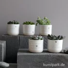 Artikelbild 2 des Artikels “Good old friends - Mini Blumentopf, Große Dinge beginnen oft klein “