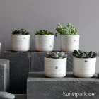 Artikelbild 2 des Artikels “Good old friends - Mini Blumentopf, Lass Liebe wachsen “