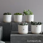 Artikelbild 2 des Artikels “Good old friends - Mini Blumentopf, Wer anderen eine Blume sät “