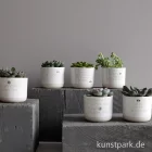 Artikelbild 2 des Artikels “Good old friends - Mini Blumentopf, Wie schön, dass es Dich gibt “