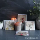 Artikelbild 2 des Artikels “Good old friends - Schmuckhirsch, Pilze “