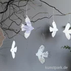 Artikelbild 2 des Artikels “Good old friends - Seelenvogel, Mit Mut fangen Geschichten an “