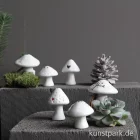 Artikelbild 2 des Artikels “Good old friends - Winter Glückspilz, Goldstern “