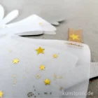 Artikelbild 2 des Artikels “Good old friends - Winterfeen, Sterne “