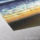 Artikelbild 2 des Artikels “Hahnemühle DAGUERRE Canvas, 400 g/m², 12m Rolle “