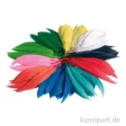Artikelbild 2 des Artikels “Indianerfedern, 100g - farbig sortiert “