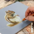 Artikelbild 2 des Artikels “JAXON Ölpastellkreide Einzeln “