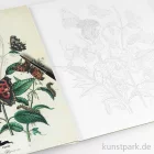 Artikelbild 2 des Artikels “PEPIN Künstler Malbuch - Natural History “