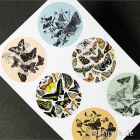 Artikelbild 2 des Artikels “PEPIN Labels, Sticker und Tapes - Natural History “