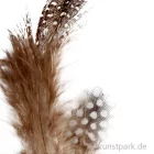 Artikelbild 2 des Artikels “Perlhuhnfedern - natur, 100 Stück “